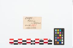 Etikett zu Bronzemehrkopfnadel (NHMW-PRAE-025503)